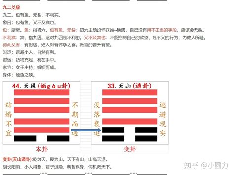 天風卦|周易第44卦